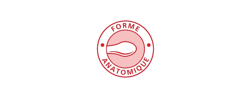Anatomique